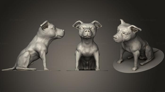 Статуэтки животных (Собака в полирамке, STKJ_0891) 3D модель для ЧПУ станка